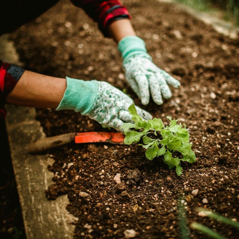 Chieri Corsi def 800 x 800 px) (3)